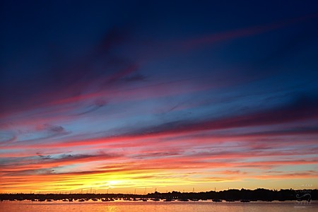 Willows Sunset Overlooking Beverly Harbor Salem, Massachusetts