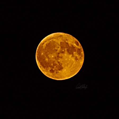 Full Sturgeon Moon - Beverly, Massachusetts